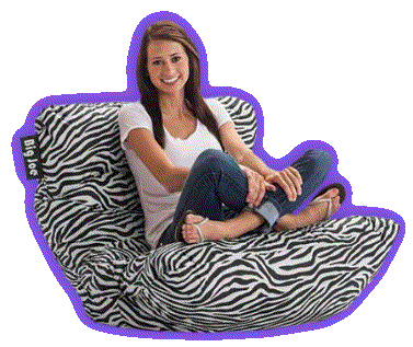zebra Big Joe Roma Chair 