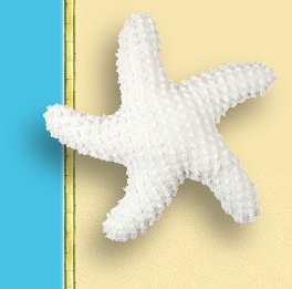 Starfish  Shaped  Throw Pillow beach house decor coastal decor beach bedroom decor